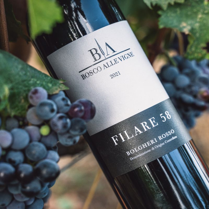 Filare 58 Bosco alle Vigne