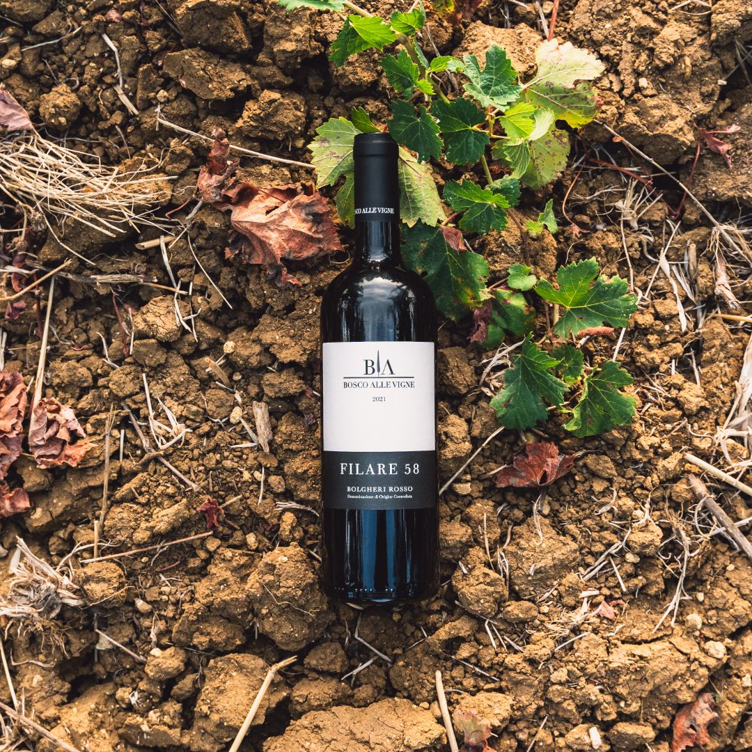 Filare 58 Bosco alle Vigne