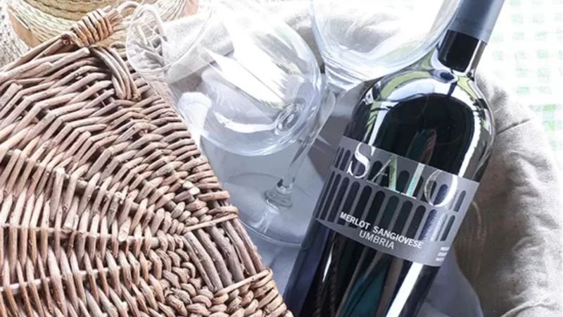 Picnic in the vineyards of Assisi