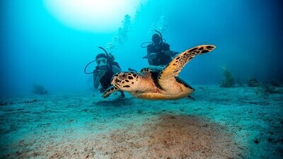 Corso PADI Open Water Diver