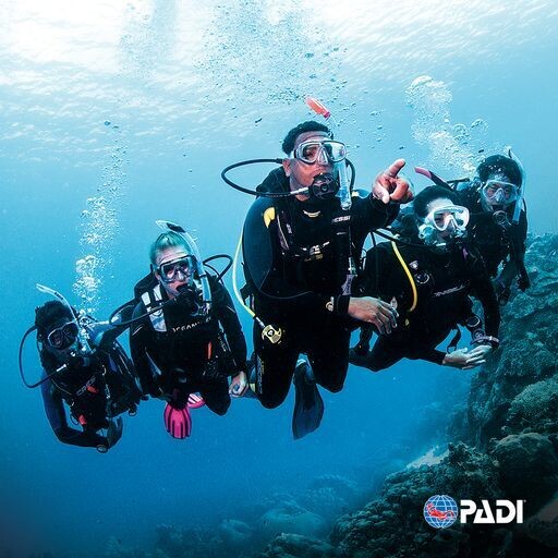 Corso PADI Divemaster