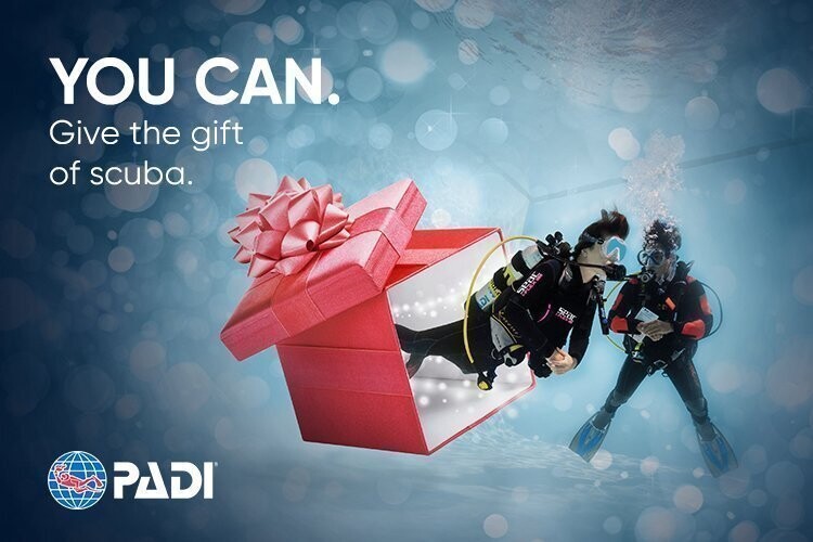 Carta regalo