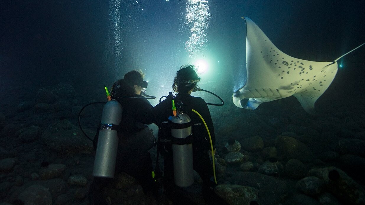 Corso di specialità PADI Night Diver