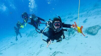 Corso di specialità PADI Drift Diver