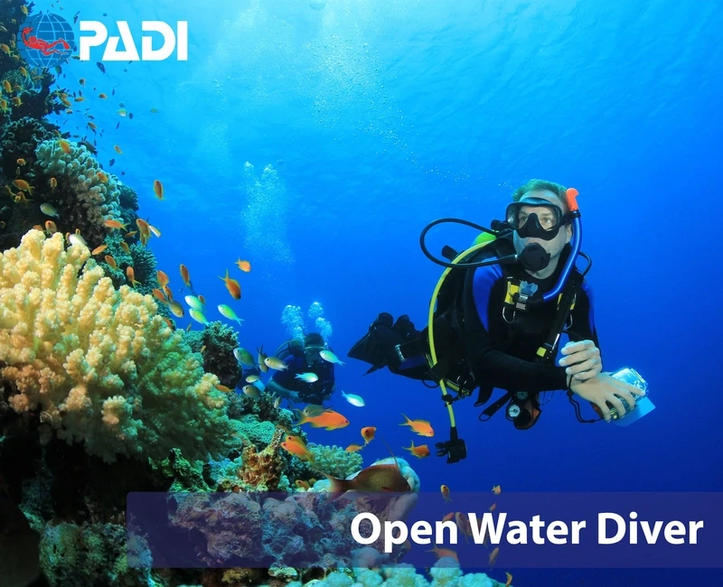 Corso PADI Open Water Diver