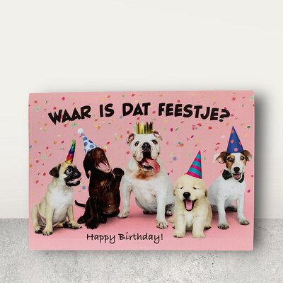 Waar Is dat feestje?
