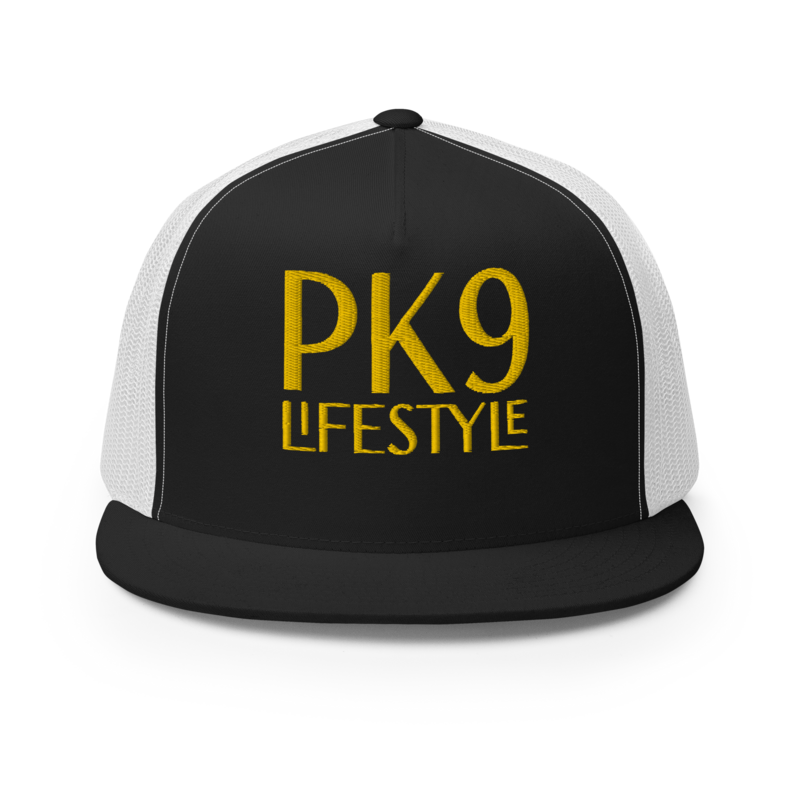 PK9 3D Universe