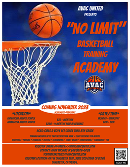 No Limit Basketball Training Academy (Monthly Payment Plan: $100 PER PLAYER)