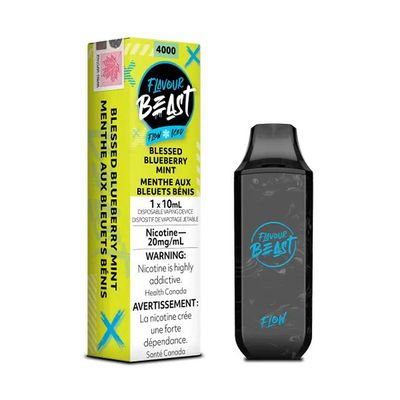 FLAVOUR BEAST FLOW 4000 - NON BC COMPLIANT, Flavour: Blessed Blueberry Mint Iced