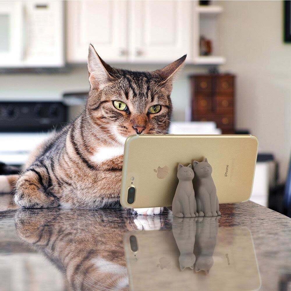 Cat Call