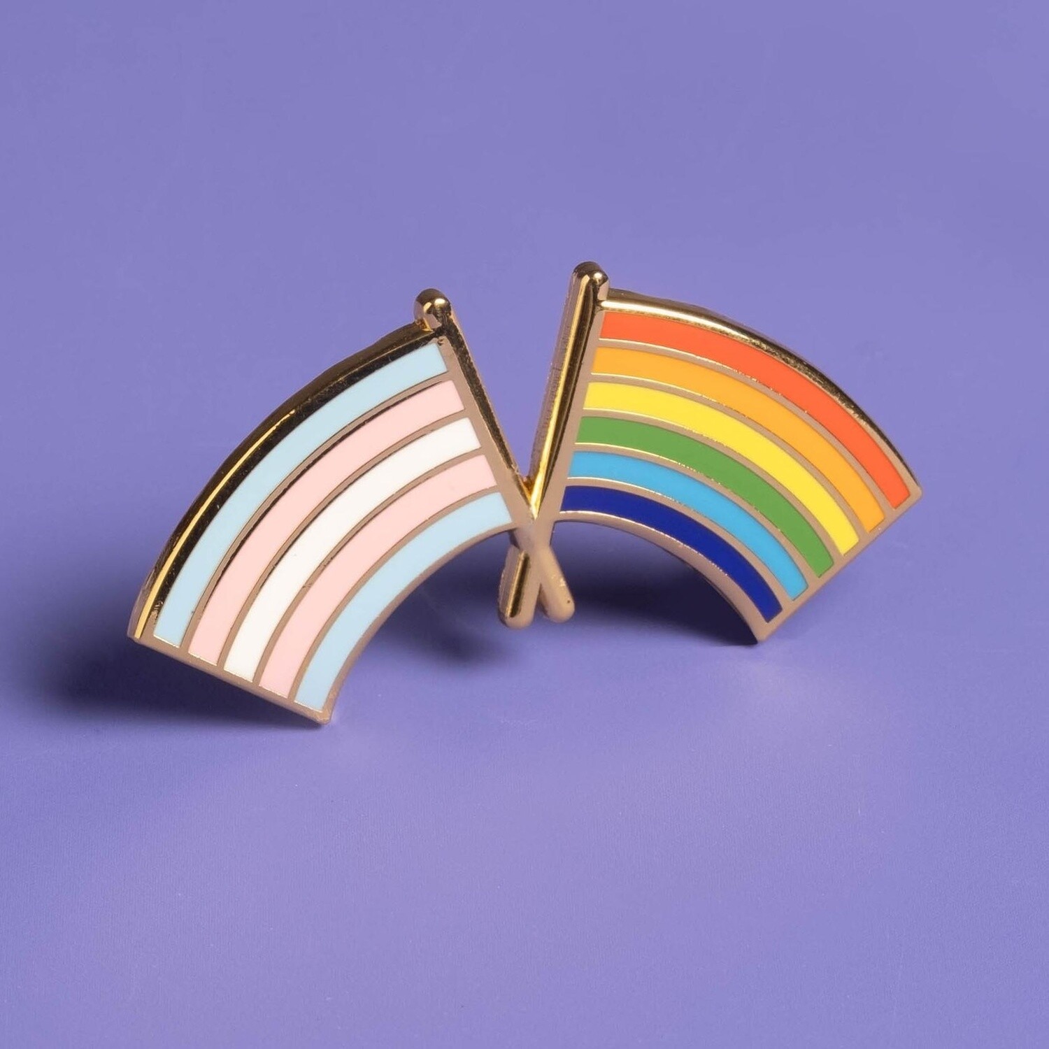 Trans and LGBTQ+ Pride Flag Combo Pin