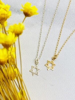 Star of David Necklace