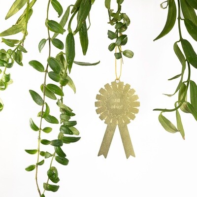 Plant Award: