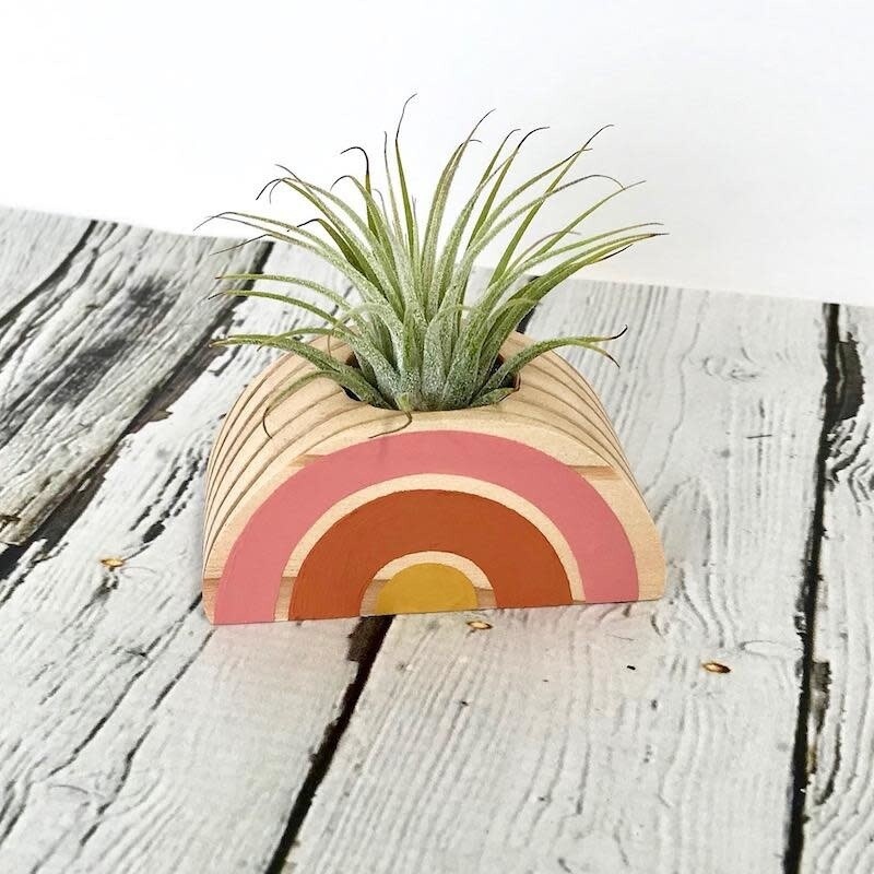 Rainbow Air Plant Holder