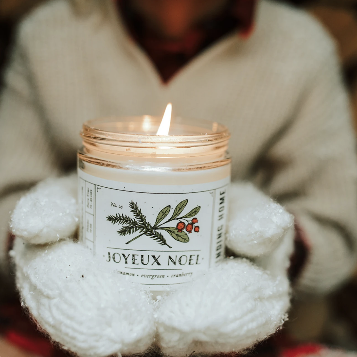 Finding Home Farms Candle Joyeux Noel