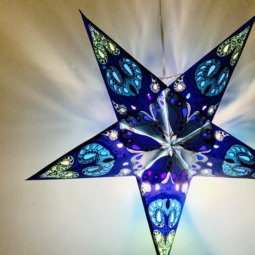 Monstera Star Light with 12&#39; Cord