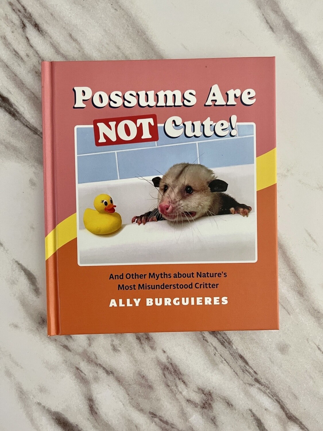 Possums Are Not Cute!