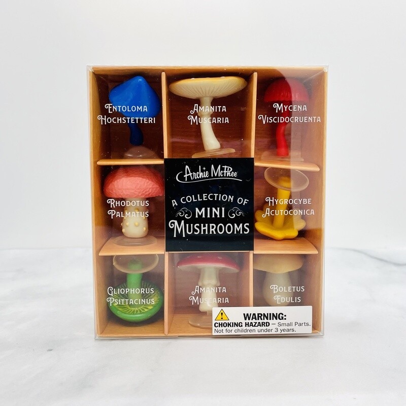 A Collection of Mini Mushrooms