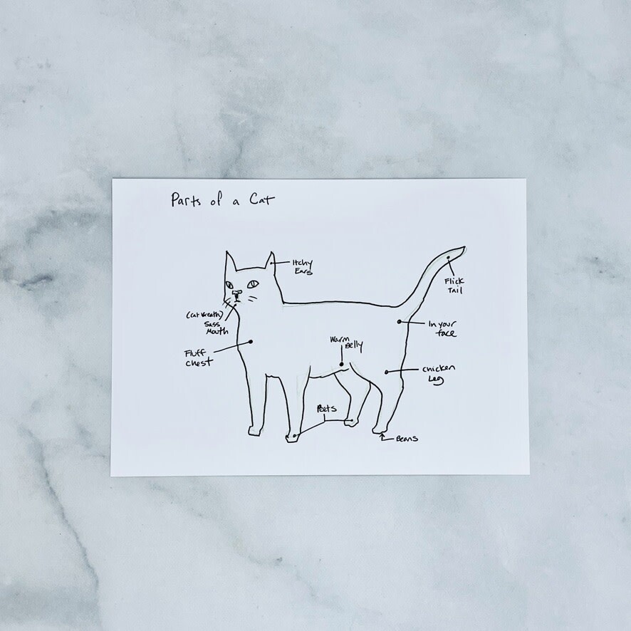 Parts of a Cat Print 5" x 7"