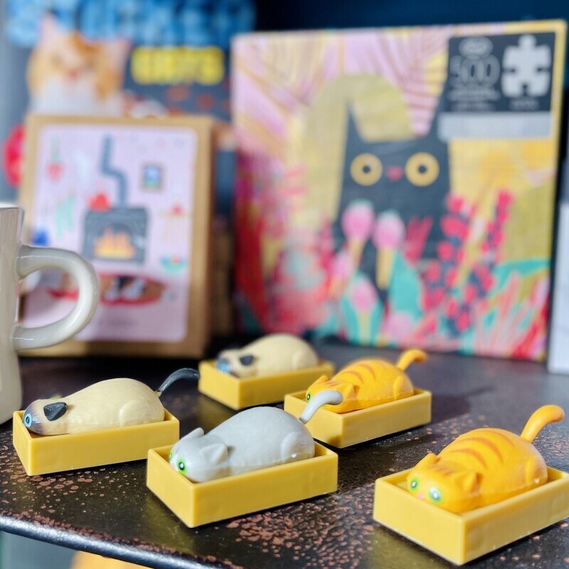 Racing Cats in Boxes