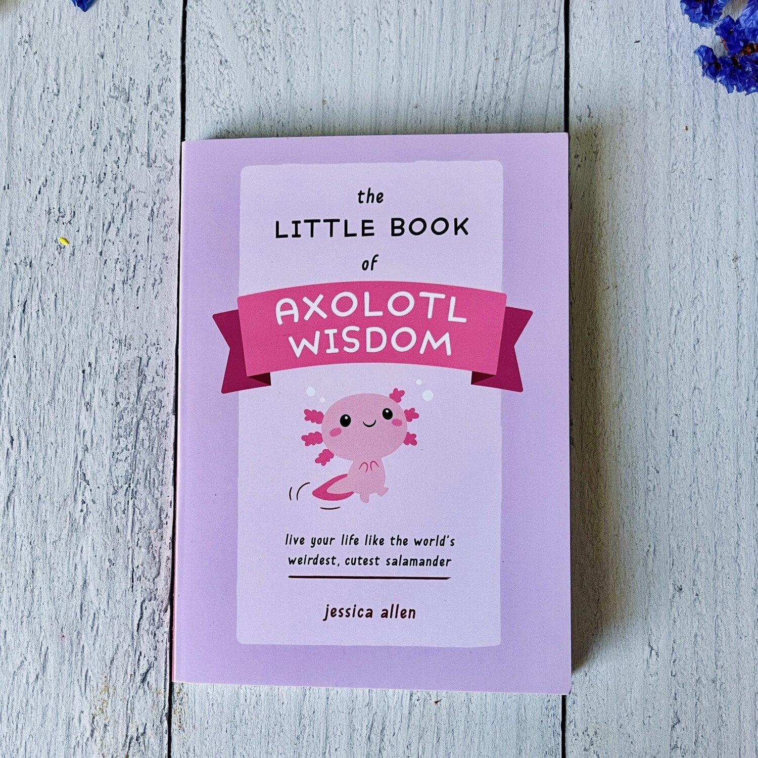 Little Book of Axolotl Wisdom