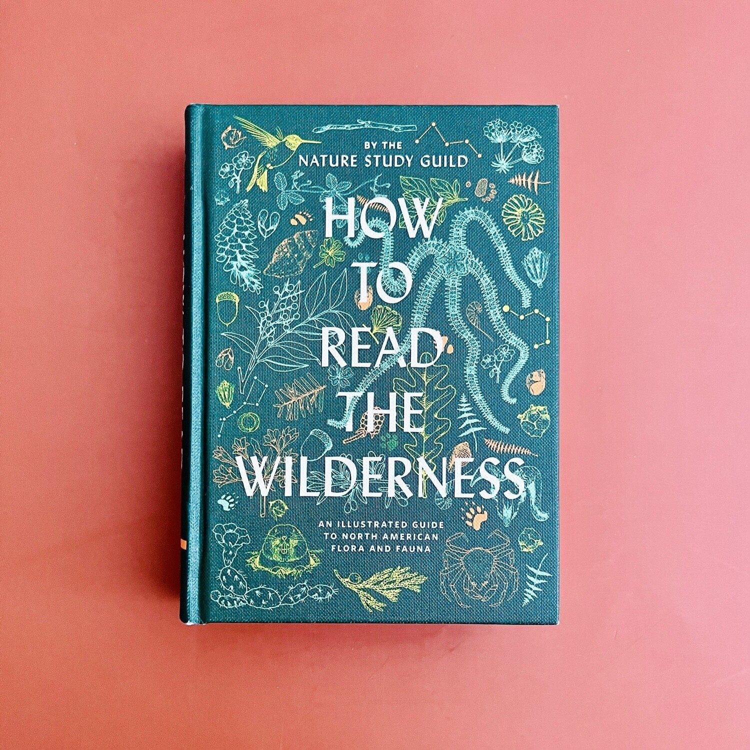 How to Read the Wilderness