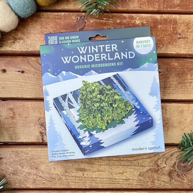 Winter Wonderland Microgreens Kit