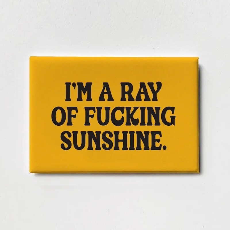 Magnet: I&#39;m a Ray of Fucking Sunshine
