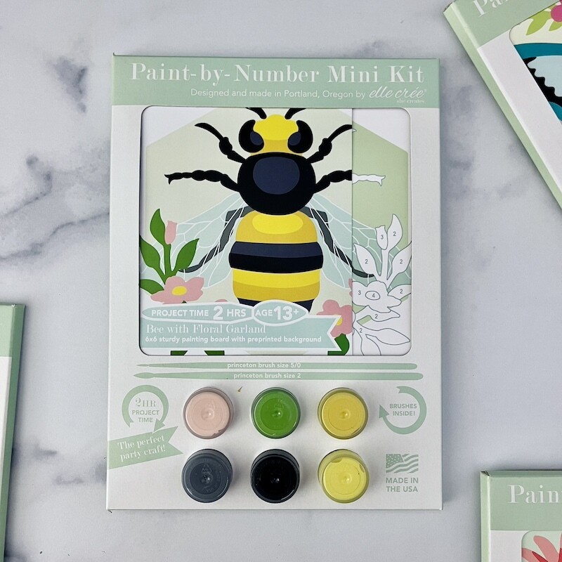Mini Paint-by-Number Kit