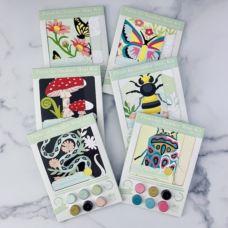 Mini Paint-by-Number Kit