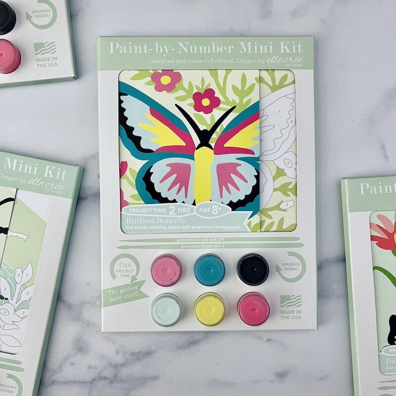 Kids Mini Paint-by-Number Kit