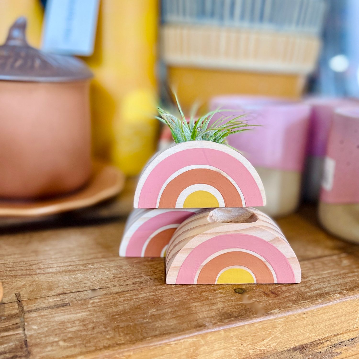 Rainbow Air Plant Holder, Style: Pink, Orange, Yellow