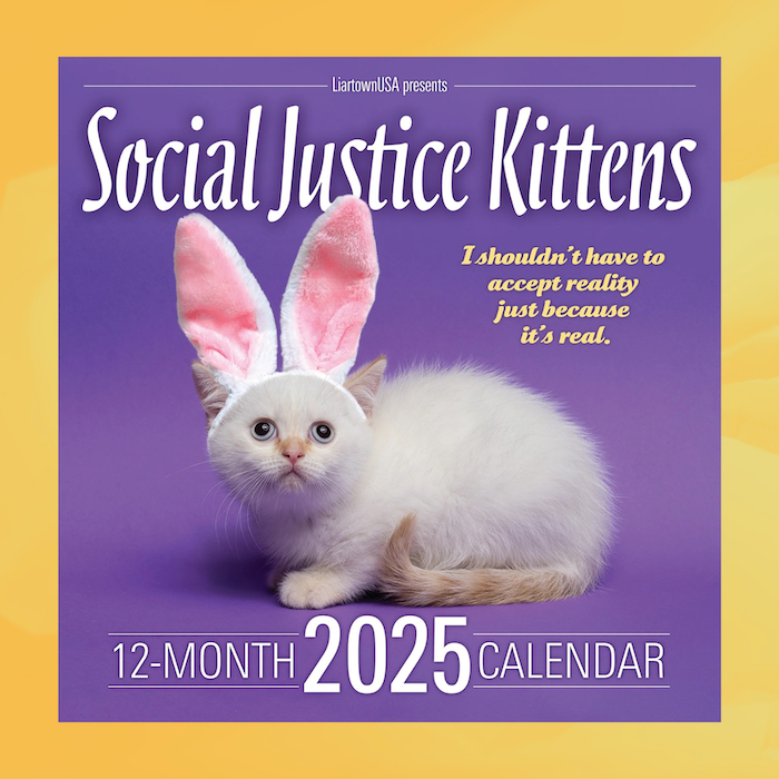 2025 Social Justice Kittens Calendar