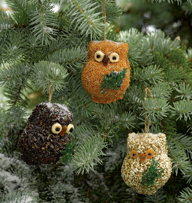 Ollie the Owl Birdseed Treat