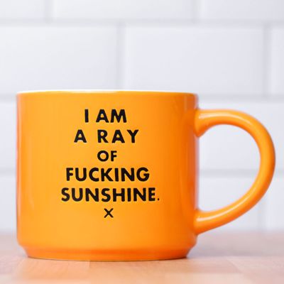 Special Edition Ray of Fucking Sunshine Mug