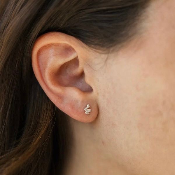 Snake Stud Earrings, SS