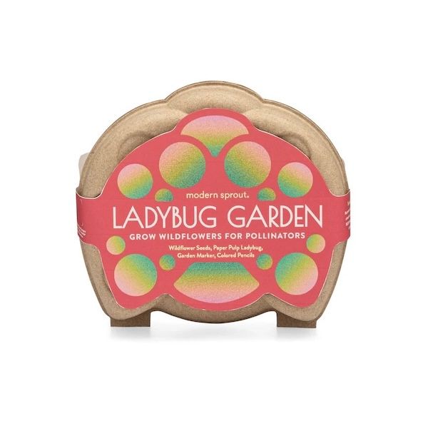 Curious Critters Activity Kit Ladybug