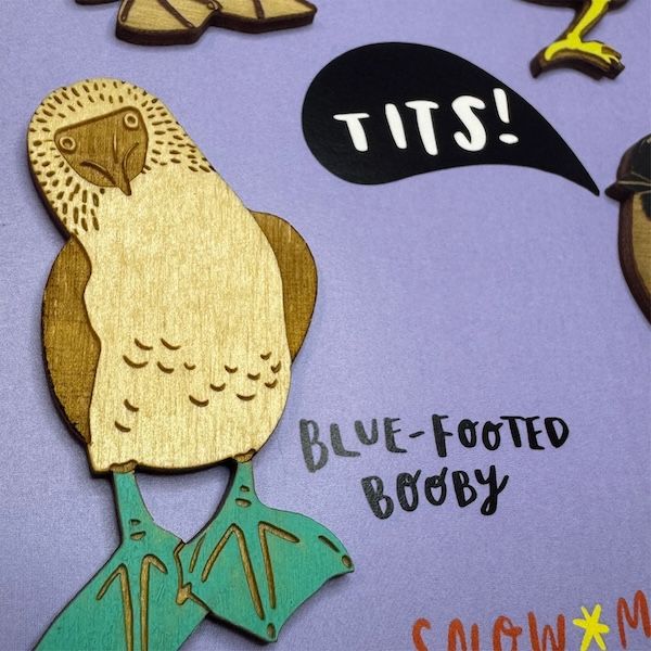 Birds Gone Wild Magnet Set
