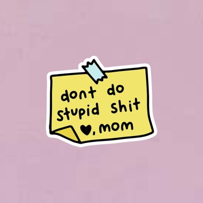 Don&#39;t Do Stupid Shit Sticker