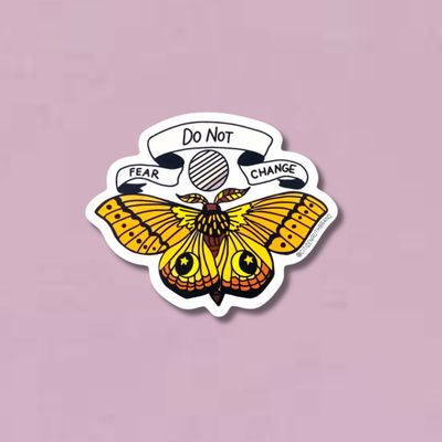 Do Not Fear Change Sticker
