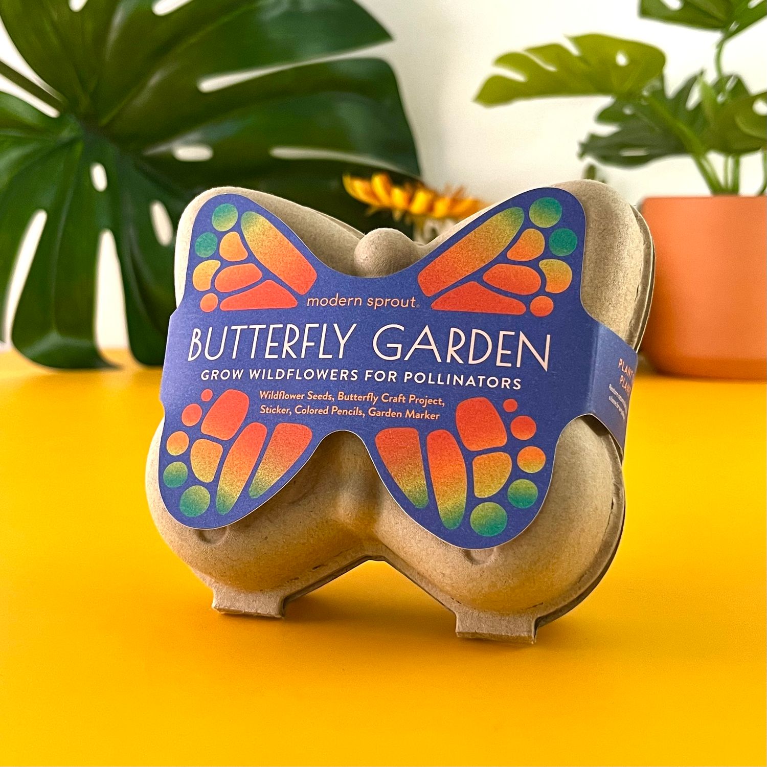 Butterfly Garden Activity Kit