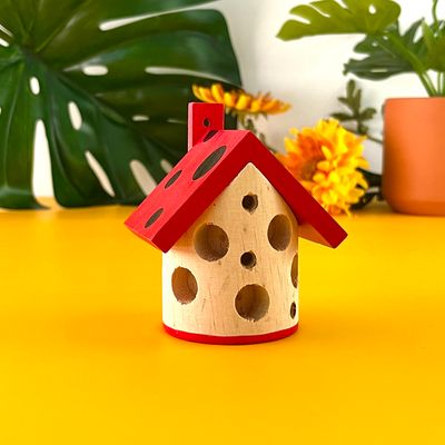 Ladybug House