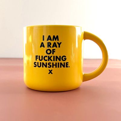 Ray of Fucking Sunshine Mug