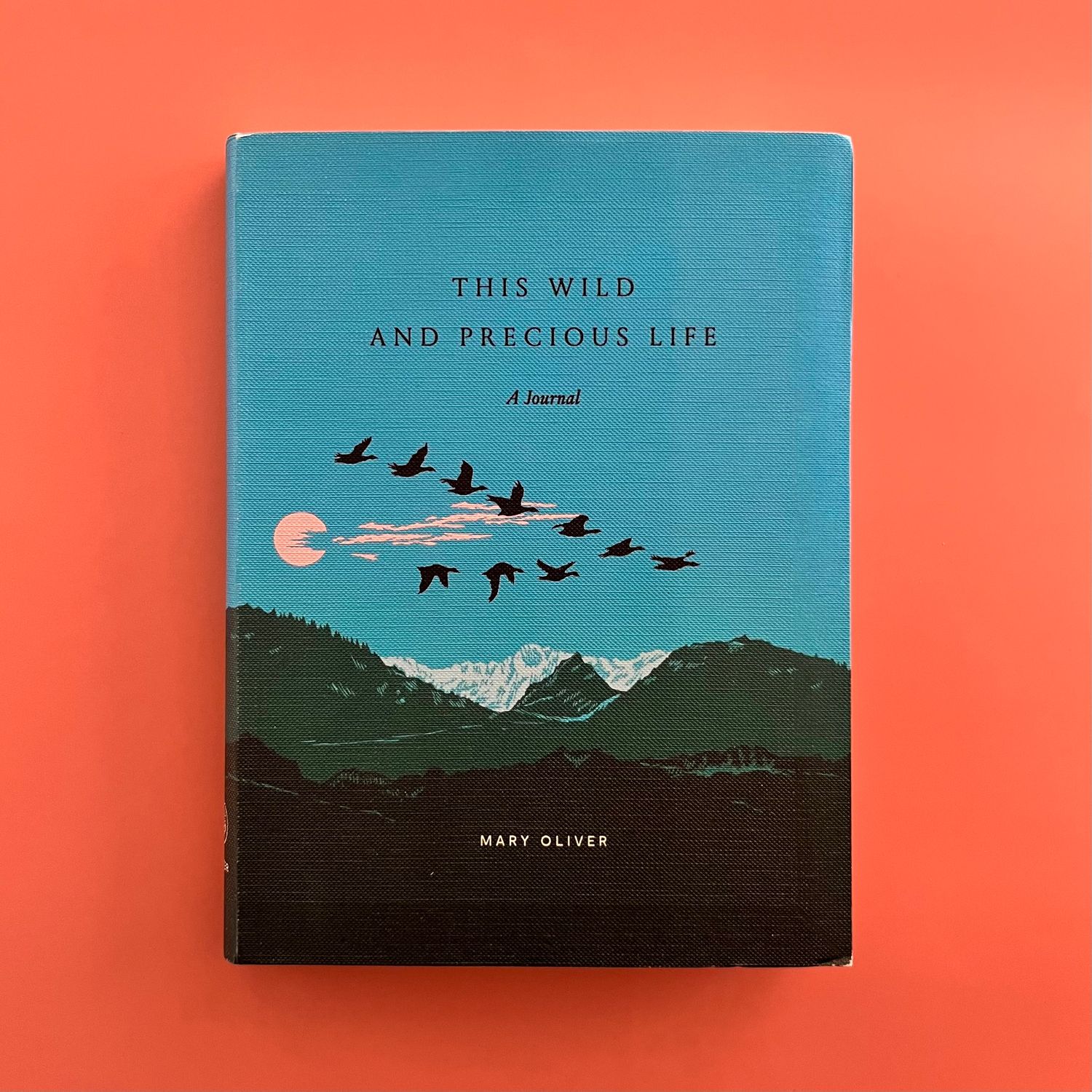This Wild and Precious Life - A Journal
