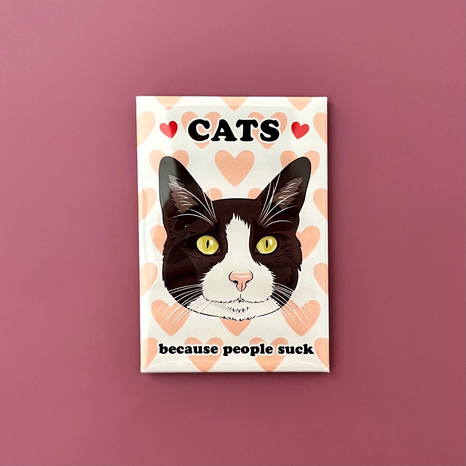 The Found Magnet Cats Because People Suck