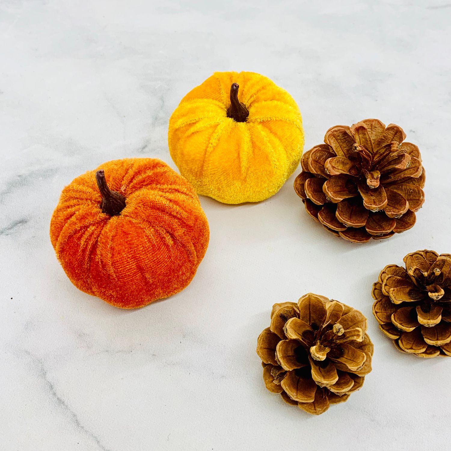 Assorted Velvet Pumpkins &amp; Pinecones, Size: Small