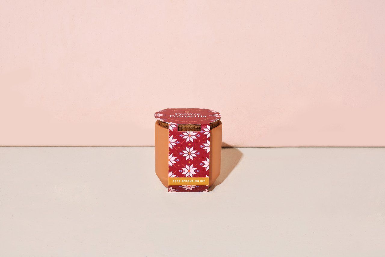 Holiday Tiny Terracotta Grow Kit, Plant: Festive Poinsettia