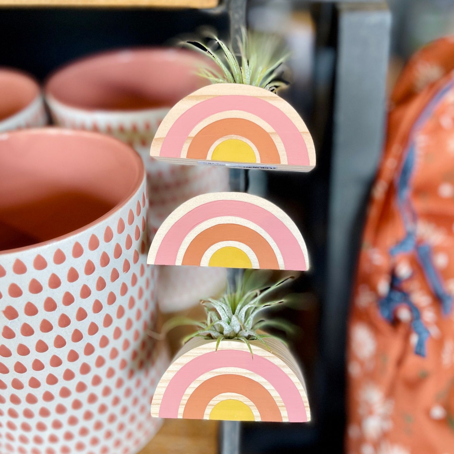 Magnet Rainbow Air Plant Holder, Style: Pink, Orange, Yellow