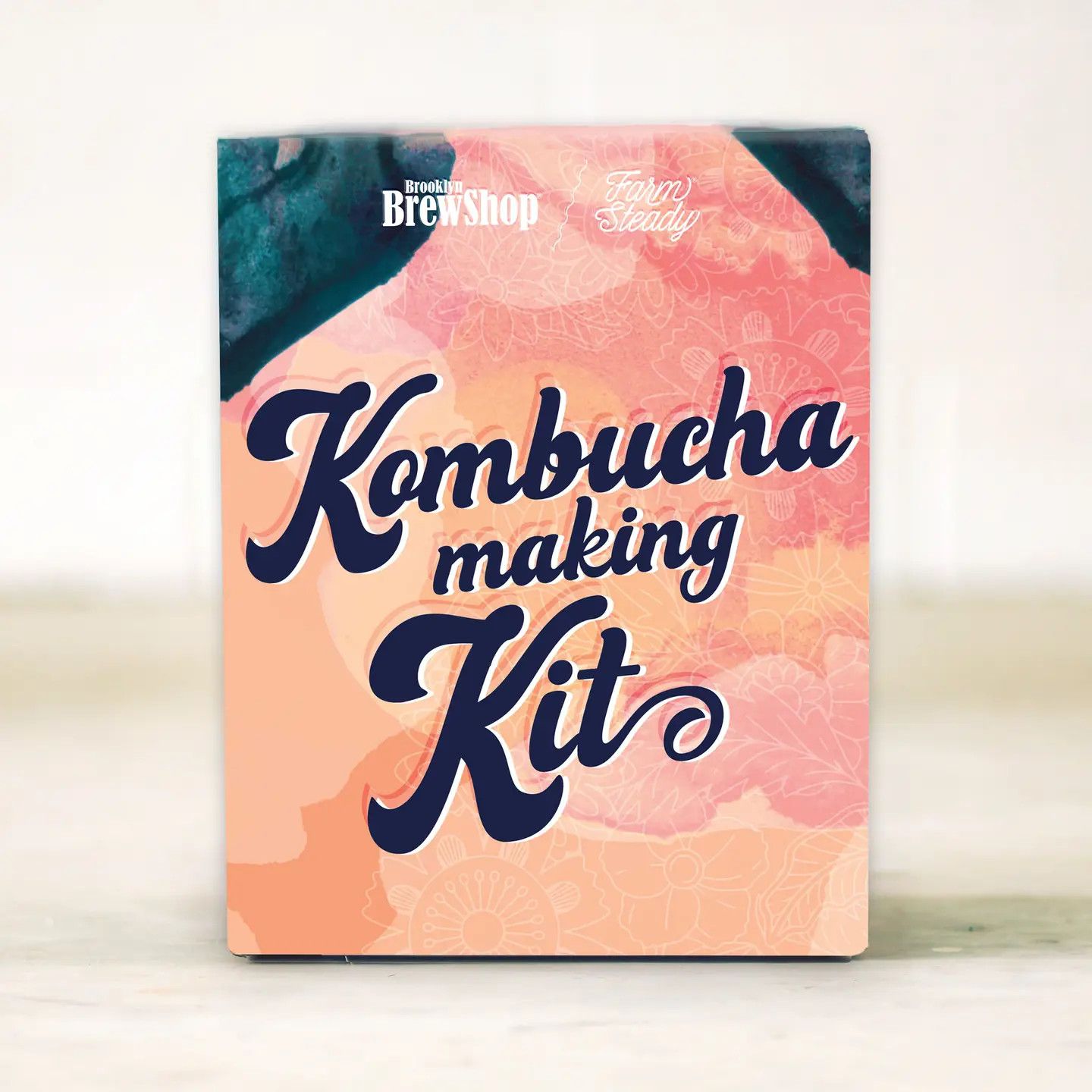Farmsteady Food Kits, Style: Kombucha