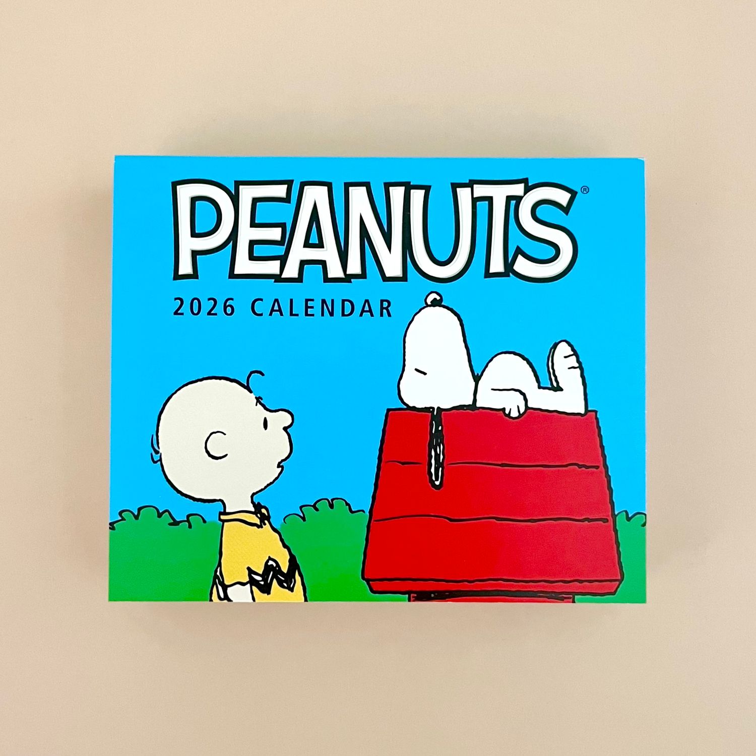 PEANUTS® 2026 DAY-TO-DAY CALENDAR